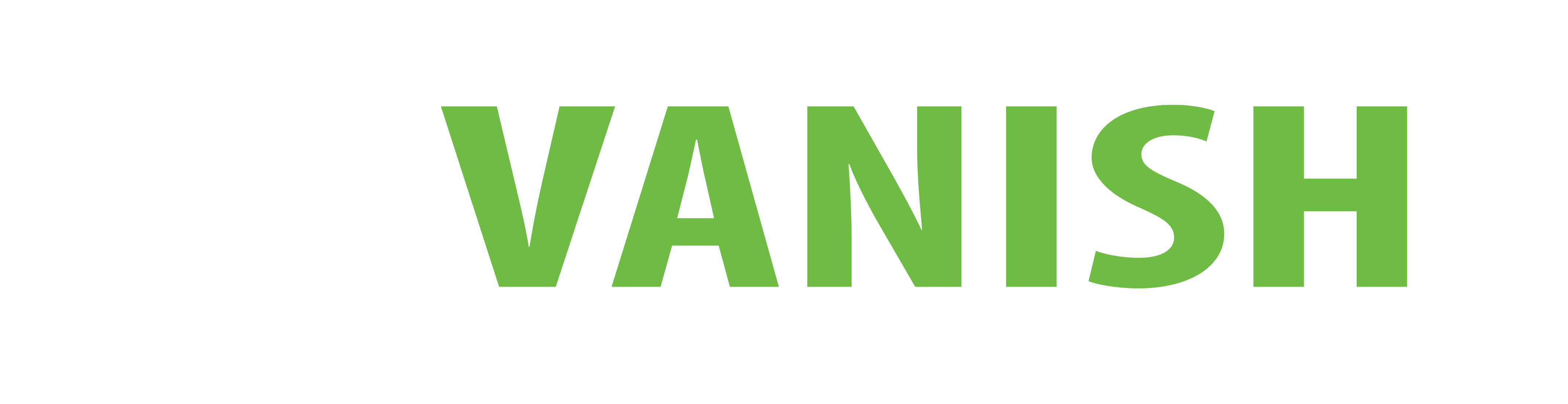 ipvanish-text-logo-white